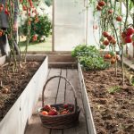 raised planter boxes for veggie garden