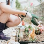 solar garden light
